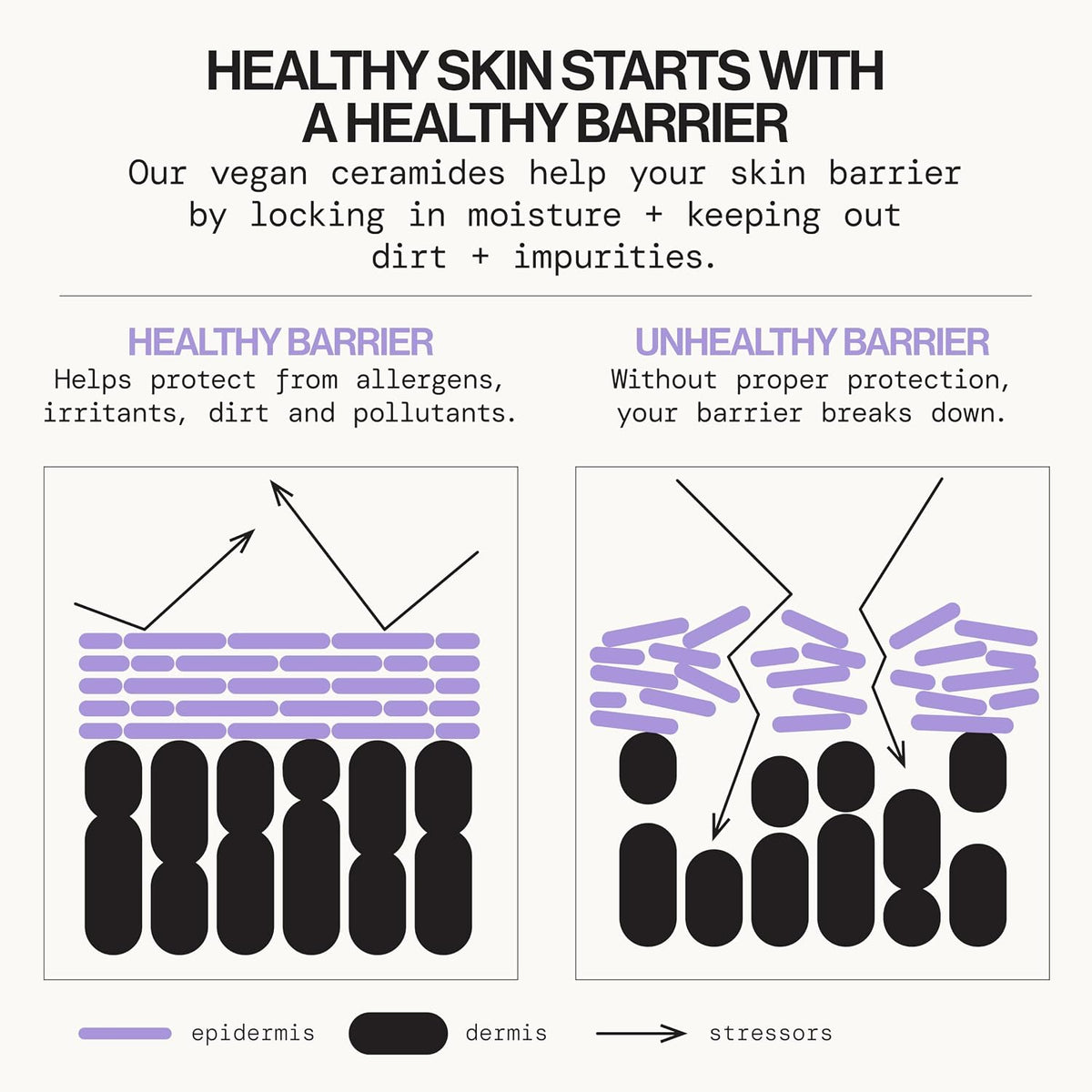 Face Wash for Sensitive Skin Facial Cleanser Vegan Ceramide Barrier Repair Extra Gentle for Daily Fragrance Free for Sensitive Skin, Clean Beauty, Vegan & Cruelty-Free Dermatologist Tested